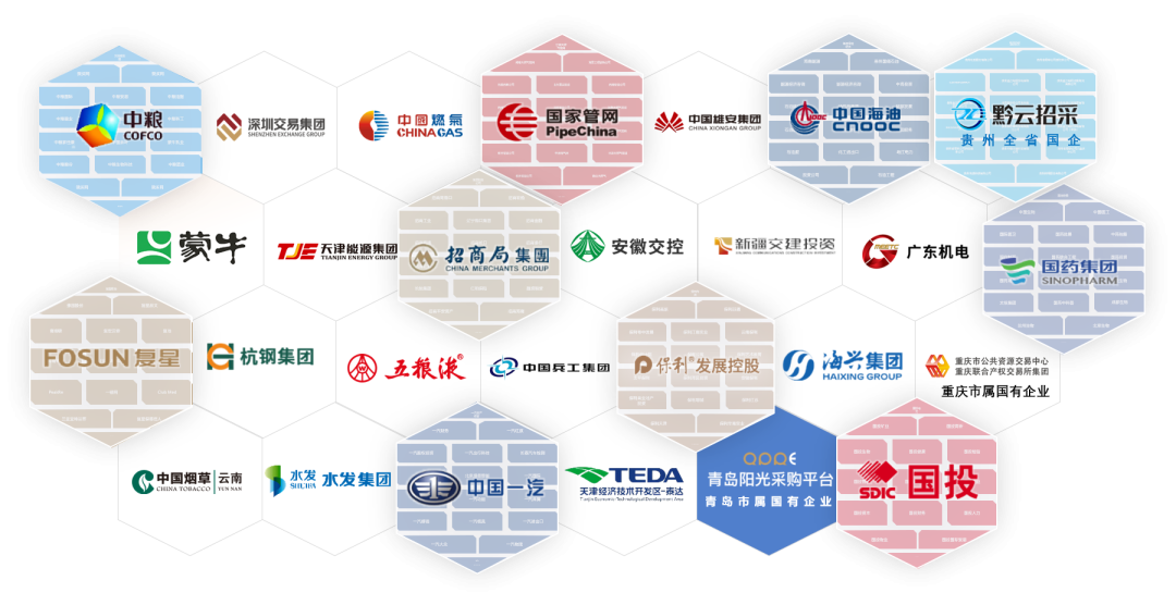 《國(guó)企陽(yáng)光采購(gòu)標(biāo)準(zhǔn)》研討會(huì) 北京筑龍以差異化服務(wù)破解困局